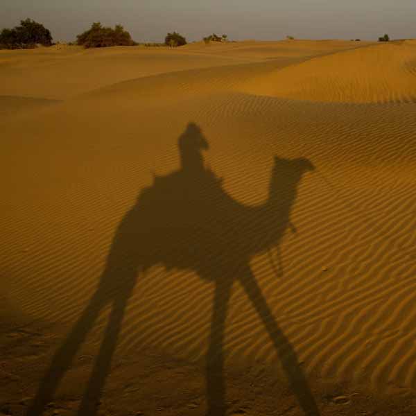 Jaisalmer sightseeing + Tour Guide + Camel Safari + Folk Dance + Dinner in desert